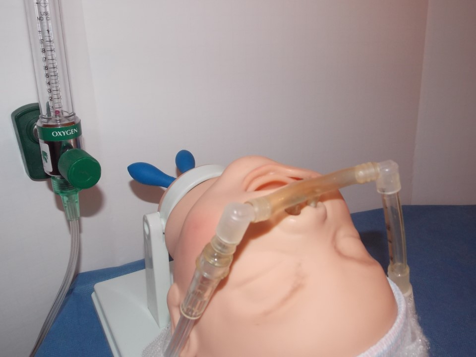 Open Lung Tool